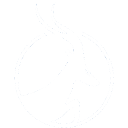 Antelope Enterprise Holdings Limited Class A Ordinary Shares Logo