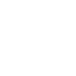 Boeing Company Logo
