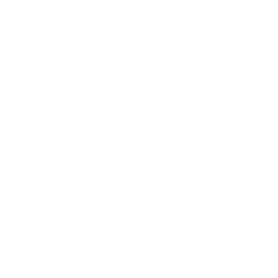 Bridgeline Digital Inc. Logo