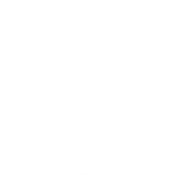 Brenmiller Energy Ltd Ordinary Shares Logo