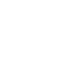 Bioventus Inc. Class A Logo