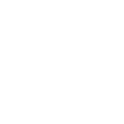 DLocal Limited Class A Common Shares Logo