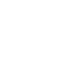 Draganfly Inc. Common Shares Logo