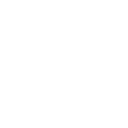 FGI Industries Ltd. Ordinary Shares Logo