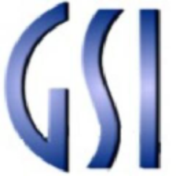 GSI Technology Logo
