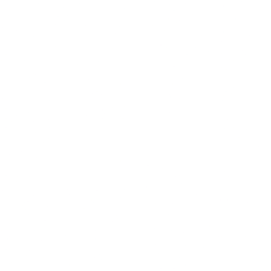 Hub Cyber Security Ltd. Ordinary Shares Logo