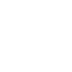 IceCure Medical Ltd. Ordinary Shares Logo