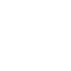 Kirkland's Inc Logo