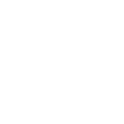 CarMax Inc. Logo