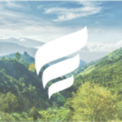 New Fortress Energy Inc. Class A Logo