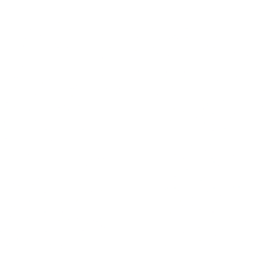 NetApp, Inc Logo