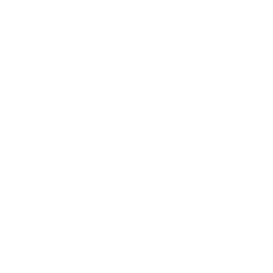 Rapid Micro Biosystems, Inc. Class A Logo
