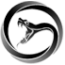 Viper Energy, Inc. Class A Logo
