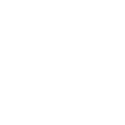 WillScot Holdings Corporation Class A Logo