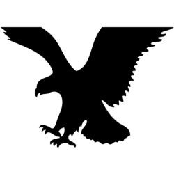 American Eagle Outfitters logo