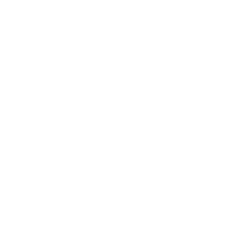 Alcon Inc. Ordinary Shares logo