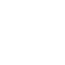 Annaly Capital Management. Inc. logo