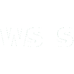 WSFS Financial Corp logo