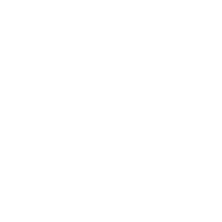 Wynn Resorts Ltd logo