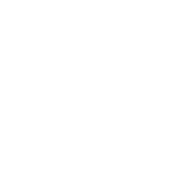 ASML Holding NV company logo