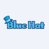 Blue Hat Interactive Entertainment Technology Ordinary Shares company logo