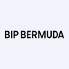BIP Bermuda Holdings I Limited 5.125% Perpetual Subordinated Notes company logo