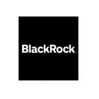 BlackRock Science and Technology Term Trust company logo