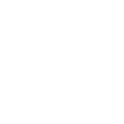 Valkyrie ETF Trust II CoinShares Bitcoin and Ether ETF company logo