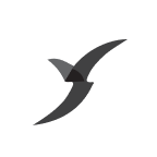 VictoryShares US Small Cap High Div Volatility Wtd ETF company logo