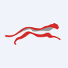 Cheetah Net Supply Chain Service Inc. Class A Common Stock company logo