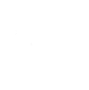 Digital Brands Group, Inc. Common Stock company logo