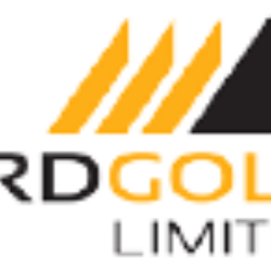 DRDGOLD Ltd. company logo