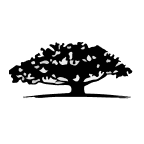 WisdomTree Emerging Markets Corporate Bond Fund company logo