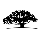 WisdomTree U.S. LargeCap Fund company logo