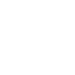 Gogo Inc. company logo