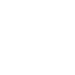 Gorilla Technology Group Inc. Ordinary shares company logo