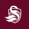 Swan Hedged Equity US Large Cap ETF company logo