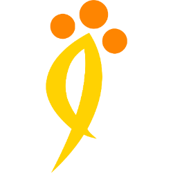 The9 Limited American Depository Shares representing three class A ordinary shares company logo