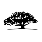 WisdomTree U.S. Efficient Core Fund company logo