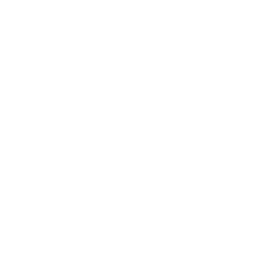 Qfin Holdings, Inc. American Depositary Shares company logo