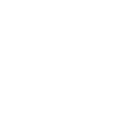 RLX Technology Inc. American Depositary Shares, each representing the right to receive one (1) Class A ordinary share company logo