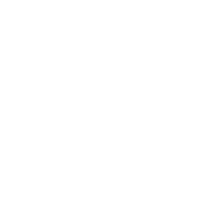 Shoulder Innovations, Inc. company logo