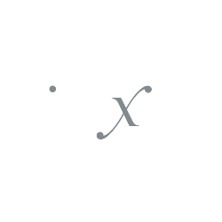 Direxion Daily Semiconductor Bull 3X Shares company logo