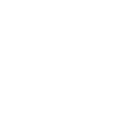 XPeng Inc. American depositary shares, each representing two Class A ordinary shares company logo